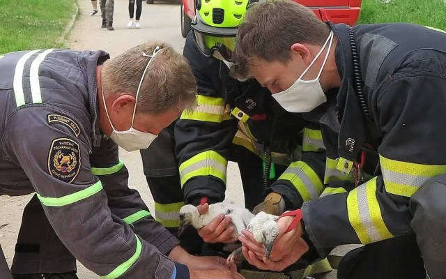 I tentokrát pomáhali hasiči s jejich výškovou technikou