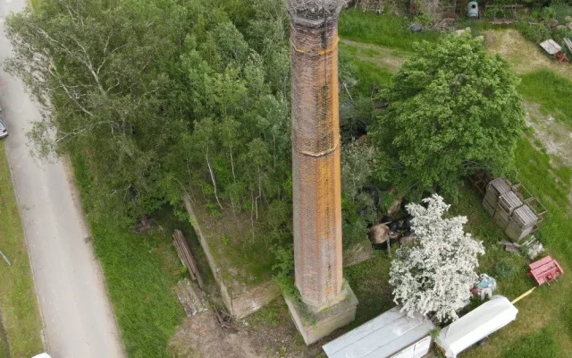 Na hnízdě zůstala mláďata a samice