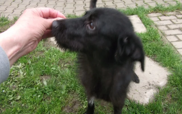 Teď už je Nelinka v pořádku