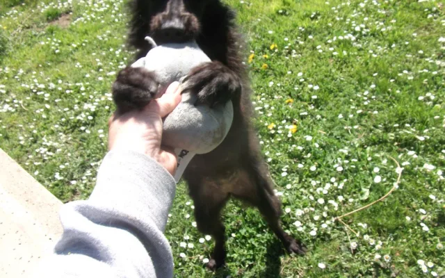 Teď už je Nelinka v pořádku
