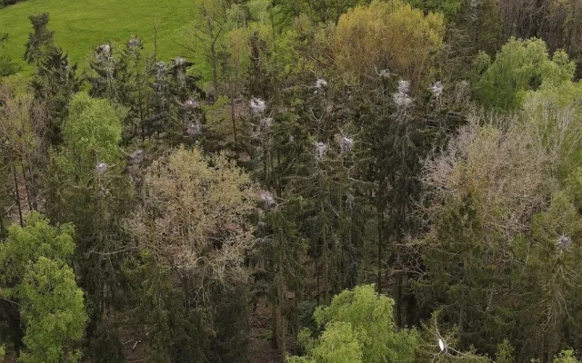 Hnízdo čápů tak, jak ho vidí dron