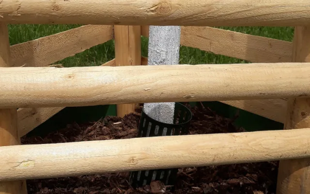 Nový park vzniká v lokalitě U Ježíška, staré topolové stromořadí nahradily nové dřeviny