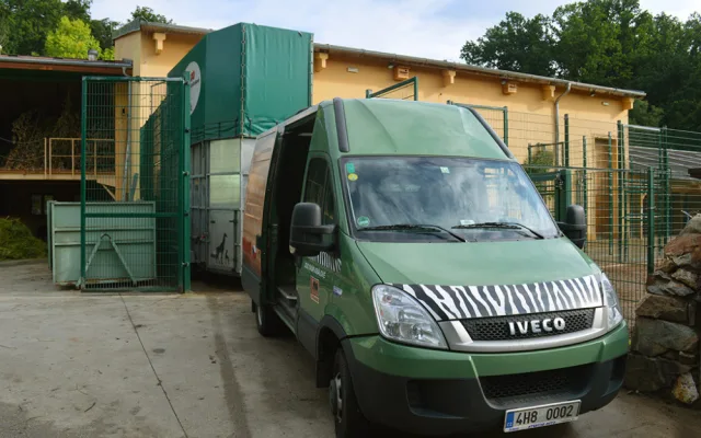 Žirafí samec Bořek se rozloučil s Plzní, nově posílí chov v Safariparku ve Dvoře Králové