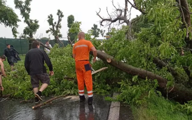 Plzeňský kraj zasáhla silná bouře. Vítr vyvracel stromy, místy nejezdí vlaky