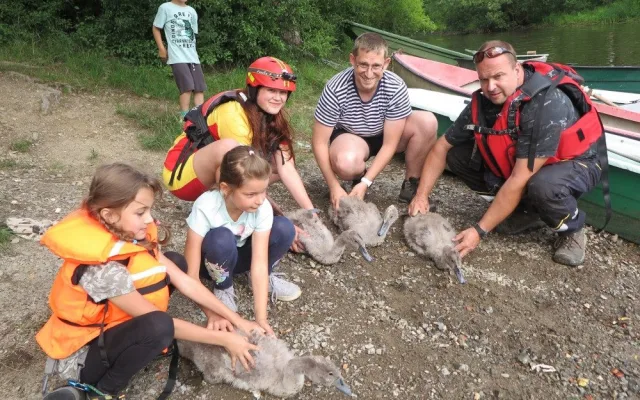 Tato záchranná akce se nakonec vydařila