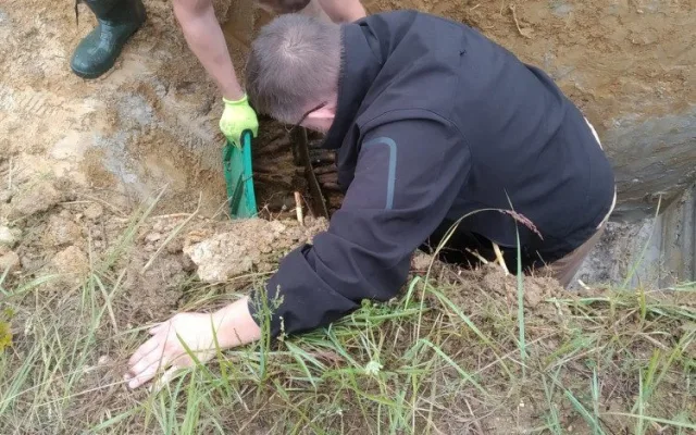 Muž si z lesa odnesl domů v přepravce skoro 400 rezavých nábojů