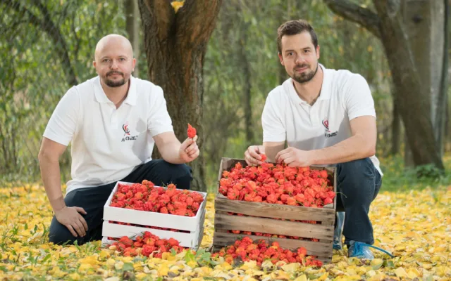 Prima Fresh festival nabídne k ochutnání i hvězdné delikatesy ze slavné britské gastronomické soutěže