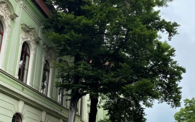foto: místostarosta Rokycan Jan Šašek