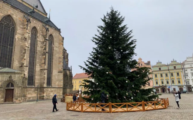 Letní prázdniny ještě neskončily a město už hledá vánoční strom na náměstí