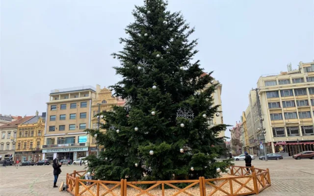 Letní prázdniny ještě neskončily a město už hledá vánoční strom na náměstí