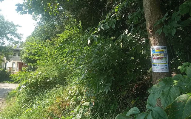 Soutěžní letáky s QR kódem jsou většinou umístěny na stromech nebo sloupech veřejného osvětlení.