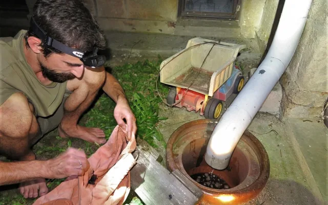Záchranáři likvidovali následky netopýřího masakru, zákrok jen pro otrlé jedince