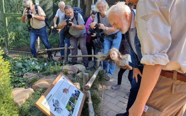 Plzeňská zoo představila myšici Cimrmanovu, jejím patronem není nikdo jiný než Zdeněk Svěrák
