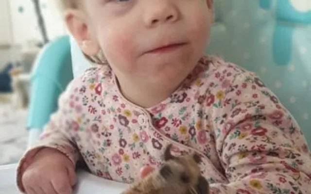 Dvouletá Pavlínka trpí syndromem, který nelze léčit. Přesto se rodiče snaží, aby byla jednou soběstačná