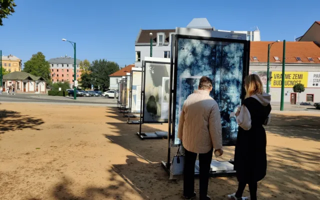 Západočeská galerie představuje veřejnosti svá nejlepší díla