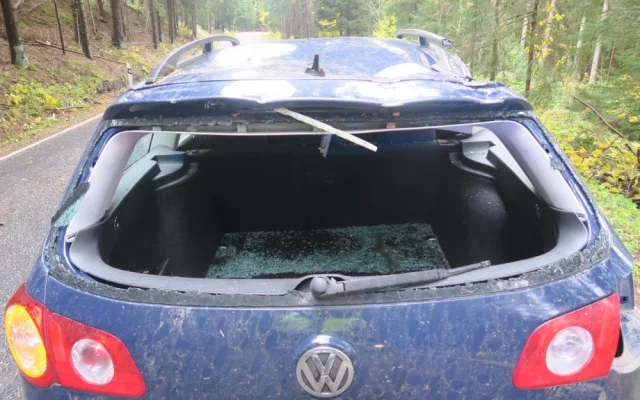 Zlomený smrk se zřítil na projíždějící auto, vichřice si celkem vyžádala 351 výjezdů hasičů