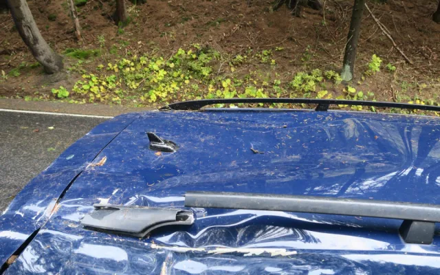 Zlomený smrk se zřítil na projíždějící auto, vichřice si celkem vyžádala 351 výjezdů hasičů