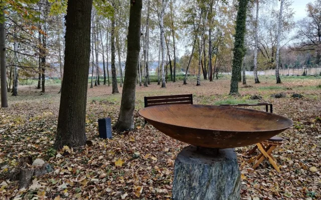 Ústřední hřbitov nabízí pozůstalým nový způsob pohřbívání, popel uloží ke kořenům stromu