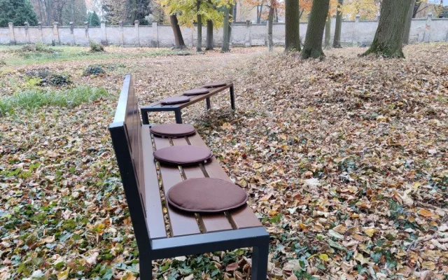 Ústřední hřbitov nabízí pozůstalým nový způsob pohřbívání, popel uloží ke kořenům stromu