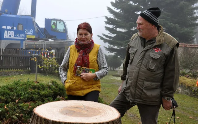 Manželé Křížovi věnovali svoji jedli obrovskou občanům Plzně