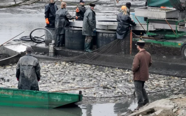 Drahotínský rybník je historickým majetkem města Plzně, leží severně od obce Zruč-Senec, rozlohu má téměř 10 ha.