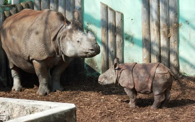 Zvířata i rostliny v ZOO Plzeň ohrožuje voda obsahující nežádoucí látky, pomoci by mohlo napojení na řeku Mži