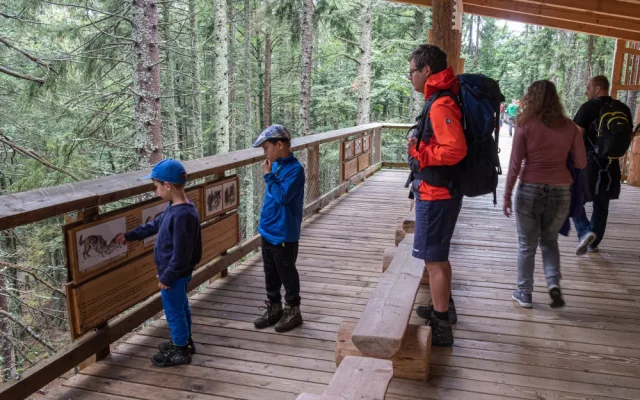 Letošní návštěvnost v NP Šumava nebyla tak masivní jako loni v létě, o rekord se ale postarali vodáci