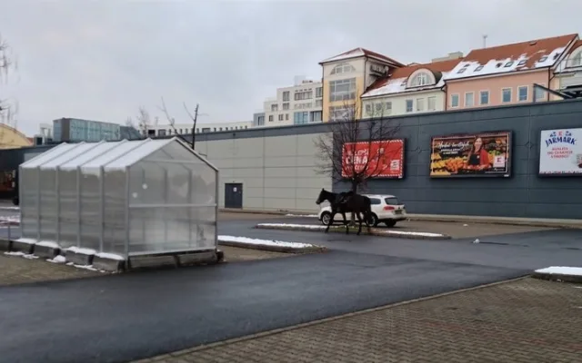 V centru Plzně se pohyboval kůň bez jezdce