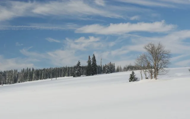 Šumava na Štědrý večer roku 1937 zažila tragickou leteckou havárii, dodnes ji obestírá tajemství