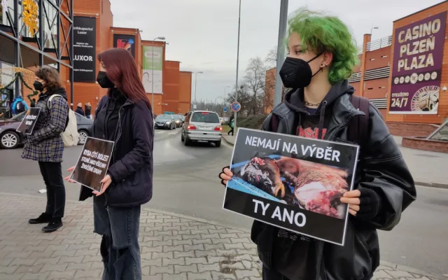 Tichá ulička za kapry stála před obchodním centrem, aktivisté bojují za Vánoce bez zabíjení zvířat
