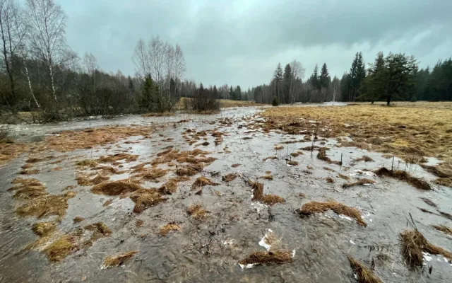 Vzniku mohutné povodňové vlny zabránily při masivních lijácích na Šumavě křivolaké tvary mělkých potoků