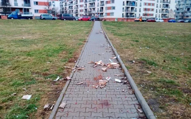 Popeláři odvezli po svátcích až dvojnásobek odpadu, veřejné skládky jsou však celoroční problém