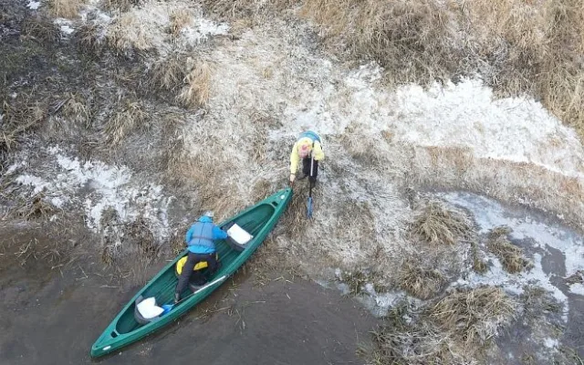Zimní sčítání vodních ptáků na Berounce odhalilo orly mořské, ledňáčky i volavky bílé