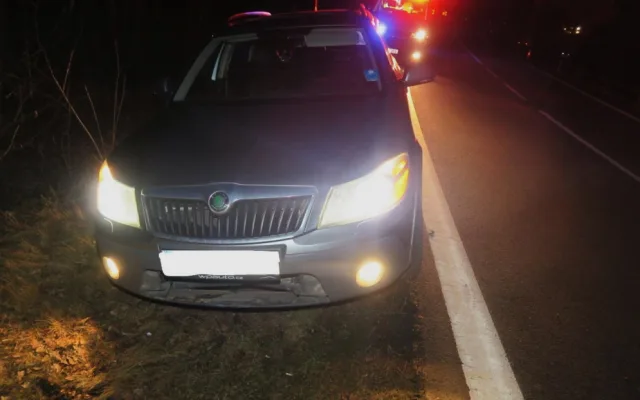 Bobr po střetu s vozidlem vyčkal na příjezd policie, potom slezl do potoka a odplaval