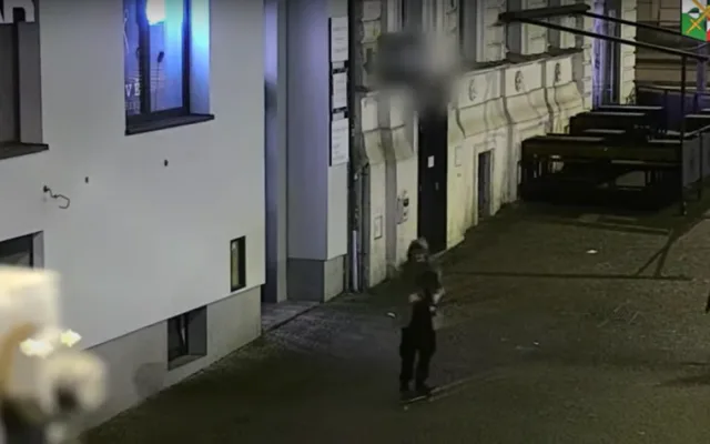 Neznámý vandal strhl a odcizil státní vlajku České republiky ze stožáru u plzeňského pomníku Díky, Ameriko!
