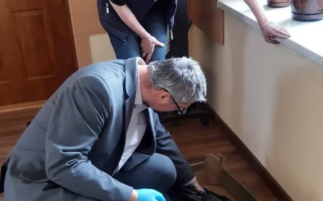Příprava uhynulého orla na cestu do Česka