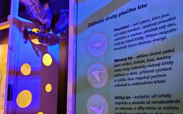 Unikátní interaktivní výstava hravou formou vysvětlí zákonitosti létání