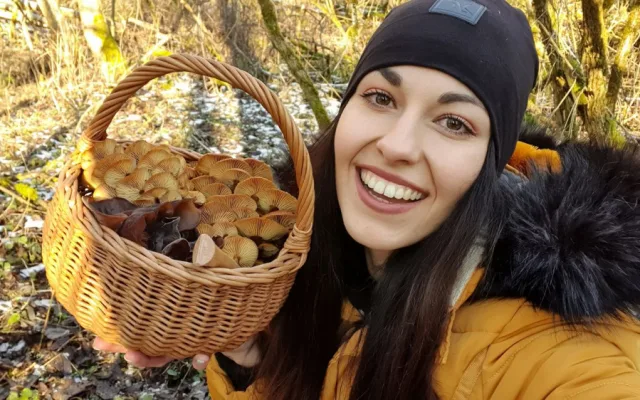 Jedlé houby v zimě