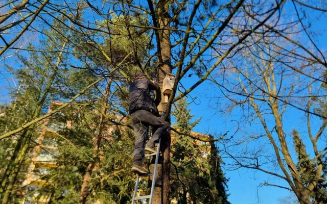 Sýkorkám či vrabcům budou na území prvního obvodu sloužit desítky nových budek