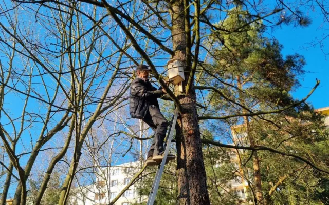 Sýkorkám či vrabcům budou na území prvního obvodu sloužit desítky nových budek