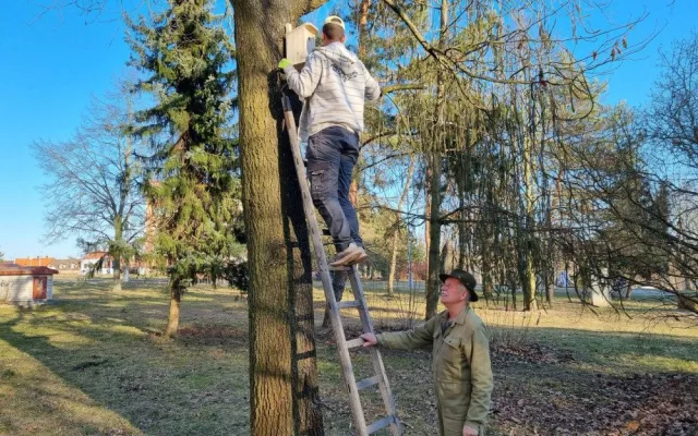 Sýkorkám či vrabcům budou na území prvního obvodu sloužit desítky nových budek