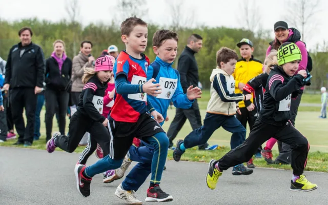 Krajský půlmaraton Plzeňského kraje se blíží!