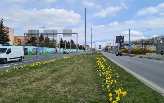 Západočeská metropole s příchodem jara rozkvetla tisícovkami květů