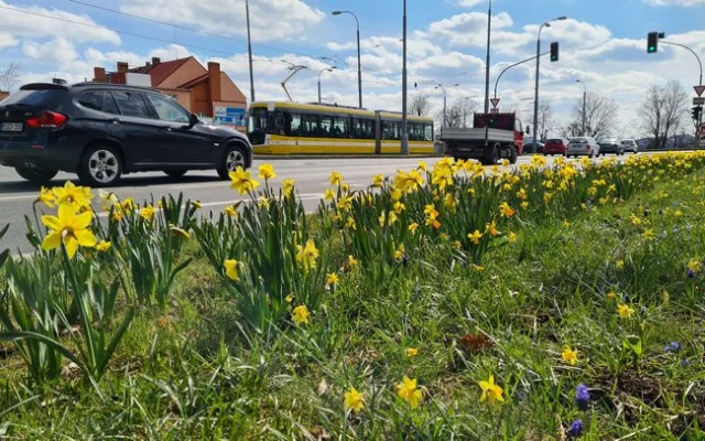 Západočeská metropole s příchodem jara rozkvetla tisícovkami květů