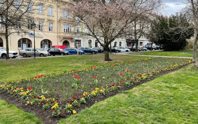 Západočeská metropole s příchodem jara rozkvetla tisícovkami květů