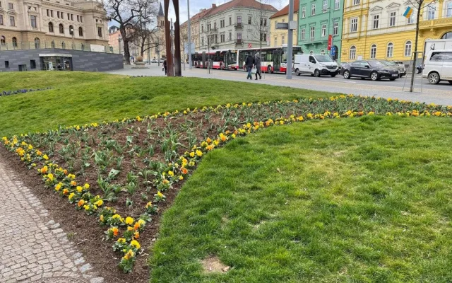 Západočeská metropole s příchodem jara rozkvetla tisícovkami květů