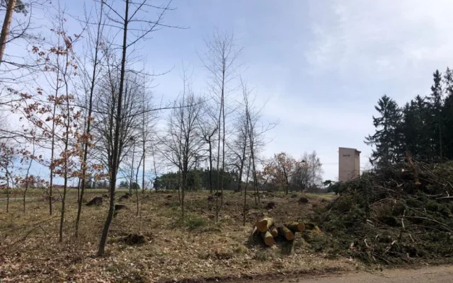 Pět set nových listnatých a jehličnatých stromků omladí zdecimovaný park v Konstantinových Lázních