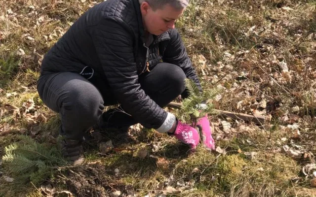 Pět set nových listnatých a jehličnatých stromků omladí zdecimovaný park v Konstantinových Lázních