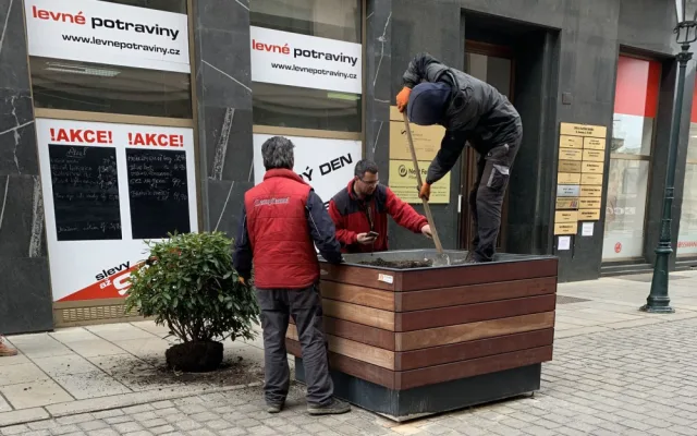 Opilí vandalové, kteří zdemolovali zeleň v centru Plzně se přihlásili na policii. Škodu si už brzy odpracují