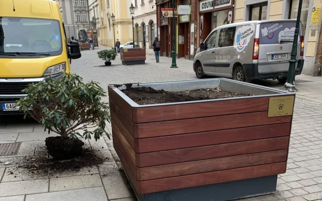 Opilí vandalové, kteří zdemolovali zeleň v centru Plzně se přihlásili na policii. Škodu si už brzy odpracují
